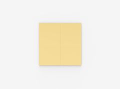 Glasstavle Mood Spaces Lively 460