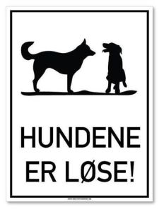 Sommerbutikken AS - Lagertelt