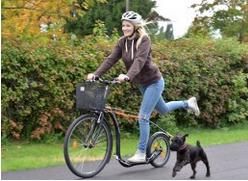 Sommerbutikken AS - Hundefeste for Kickbike