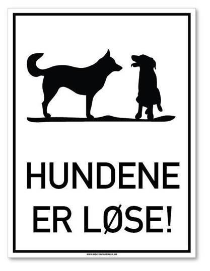 Sommerbutikken AS Hundene er Løse 